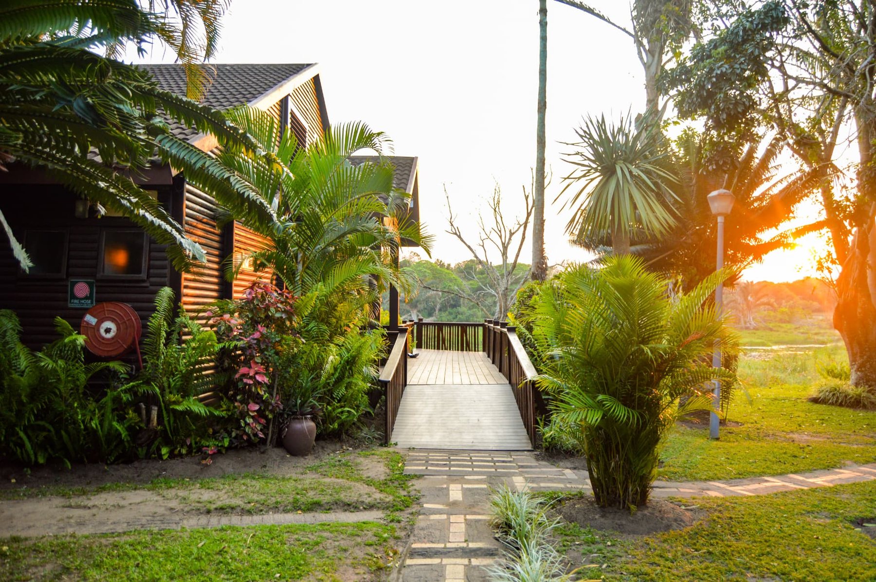 Golden sunset over the garden path between the chalets at Imvubu Lodge