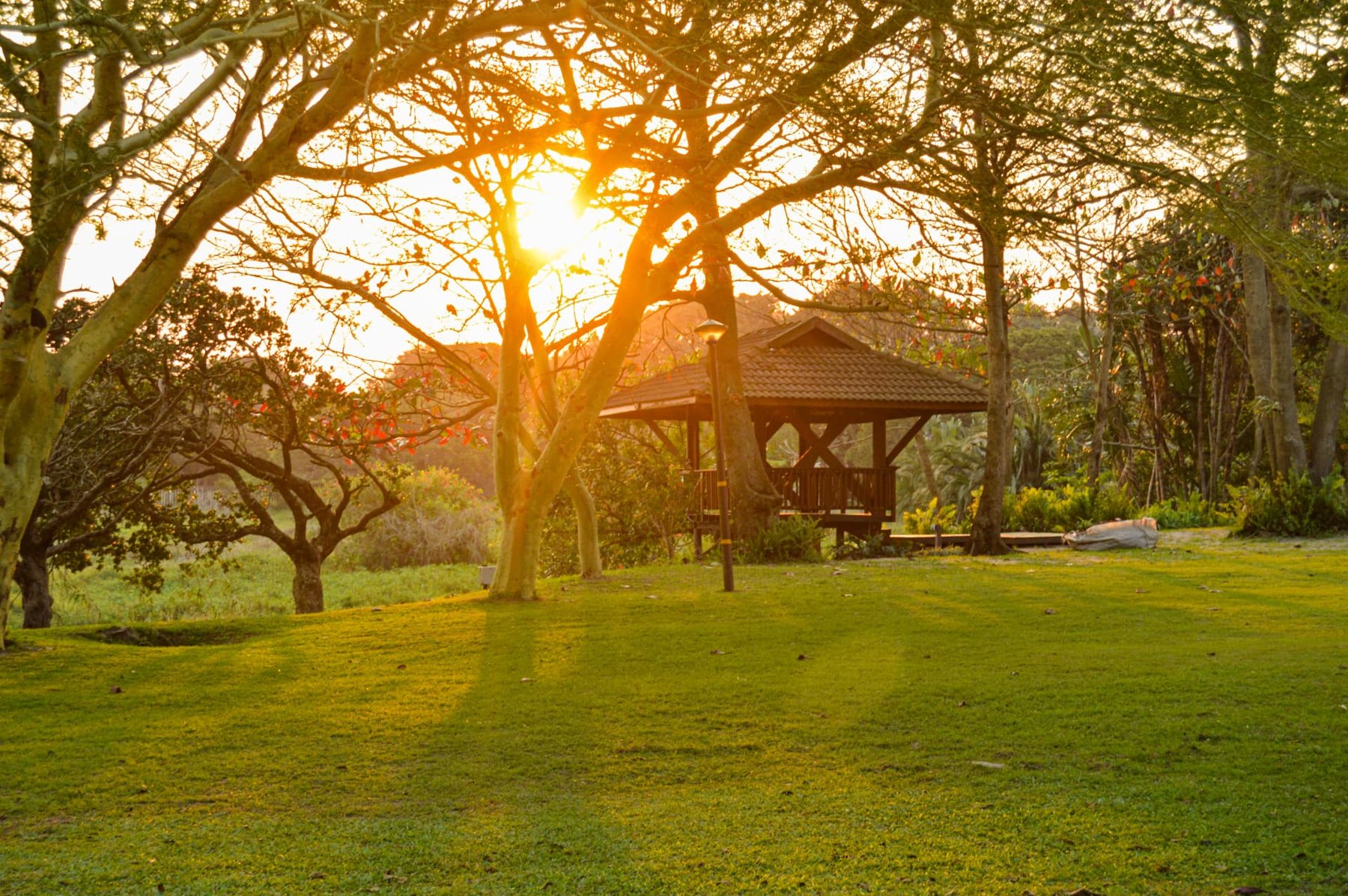 Golden sunlight through the trees over the lodge lawn